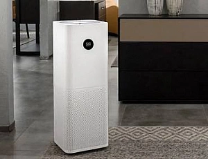 10 best air purifiers for allergy sufferers in 2021