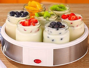 Top 5 yogurt makers for quality and reliability