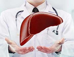 12 Best Hepatoprotectors for Liver Recovery