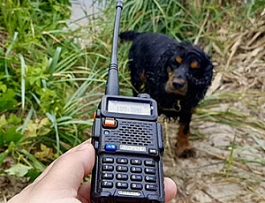 10 best budget radios for hunting and fishing