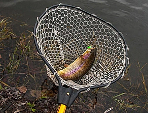 10 meilleures épuisettes pour la pêche