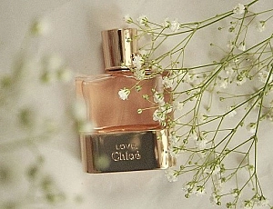 10 best powdery fragrances for women