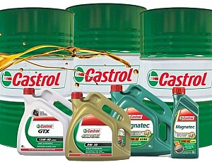 12 best analogues of Castrol engine oil